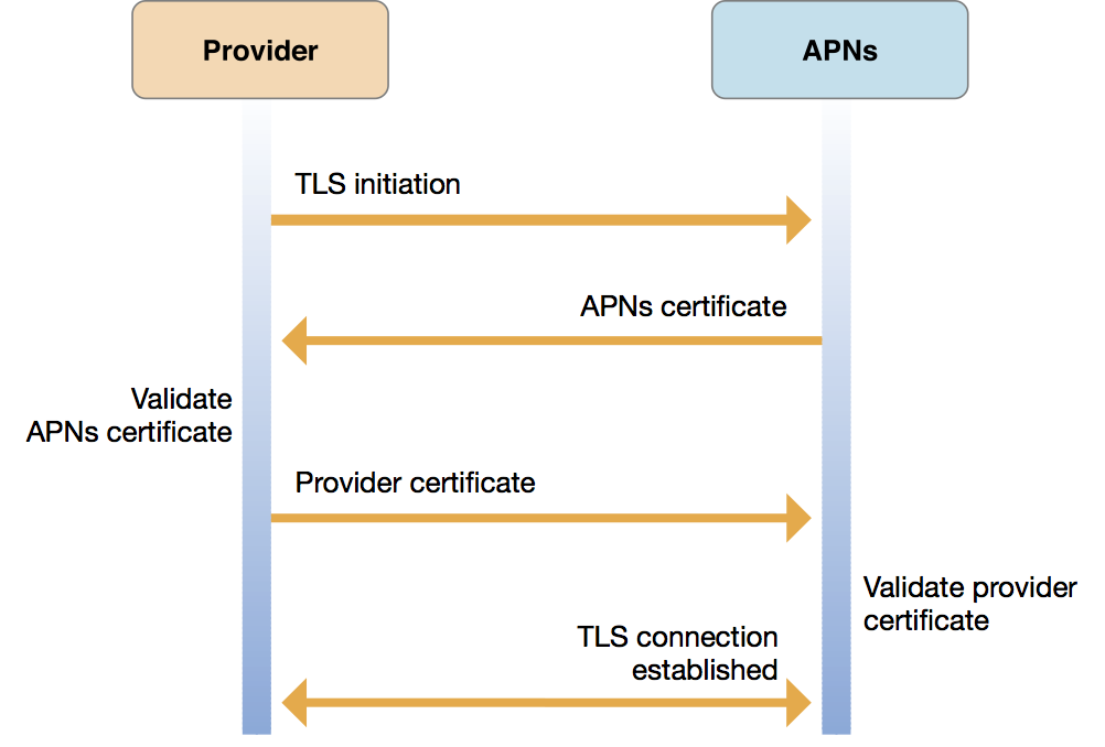 APNs and Provider Diagram