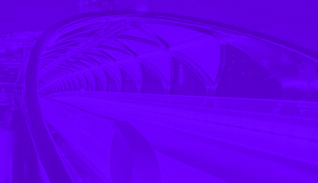 Technology Consulting